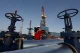 Ціни на нафту знижуються після зростання минулого тижня