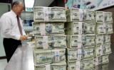 Foreign exchange market indicators as at May 15, 2017