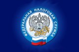 ФНС России начала публиковать ранее закрытые сведения о компаниях