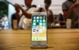 Apple Finds Defect in iPhone 8