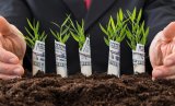 Новый закон о приватизации будет способствовать привлечению инвесторов - ФГИУ