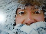 В Казахстане из-за аномальных ветров и морозов животные замерзают на ходу