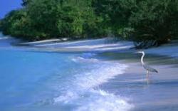 У середньому українці витрачають на відпочинок за кордоном 12 тис. грн.
