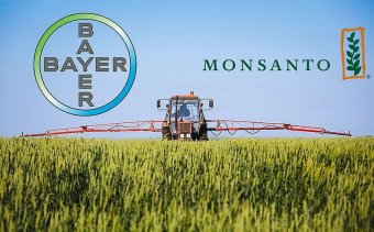 Одна з найбільших угод в історії агробізнесу: Bayer завершила придбання Monsanto