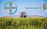 Одна з найбільших угод в історії агробізнесу: Bayer завершила придбання Monsanto