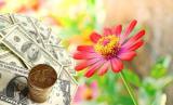 Foreign exchange market indicators as at May 4, 2017