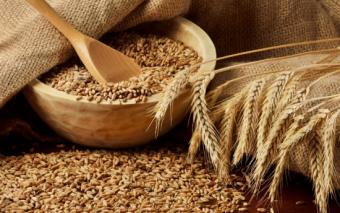Мінагрополітики інформує про ситуацію на ринку зерна станом на 7 липня 2014 р.
