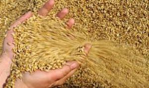 Украина сняла ограничения на экспорт пшеницы