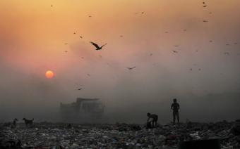 Токсичний смог по всьому світу скоро вдарить по економіці міст