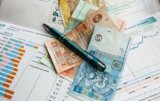 Ukraine Will not Refuse from Subsidies Just Yet &ndash; Rosenko