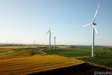 Депутаты предложили урезать "зеленые" тарифы Ахметову