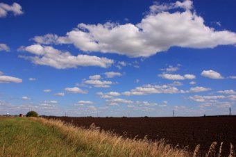 Нардепи відмовились скасувати продовження мораторію на продаж землі