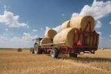 Мораторій на продаж земель: кому це вигідно?