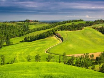 В Україні відкриють всі дані про угоди із землею