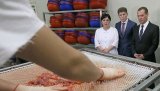 Медведєв підписав розпорядження про створення ТВР на Курилах, Росія