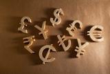 Foreign exchange market indicators as at January 25, 2017