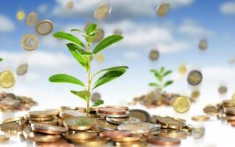 Иностранные инвестиции в Украину за 6 месяцев выросли на 8,8%