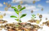 Иностранные инвестиции в Украину за 6 месяцев выросли на 8,8%
