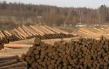 ЕС заявил о согласии Украины вновь вывозить лес