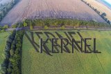 Веревский увеличил долю в &laquo;Кернеле&raquo;