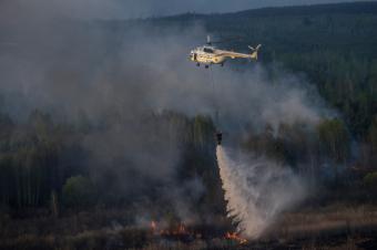 Яценюк запевнив, що радіаційний фон в м.Києві в межах норми, а пожежа в Чорнобильській зоні локалізована
