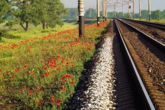 До травневих свят Укрзалізниця призначила 18 додаткових поїздів у найбільш популярних напрямках