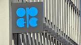 Bloomberg: Conversation of Energy Ministers of Russia and Saudi Arabia Plays Crucial Role in OPEC Transaction