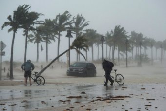 Ураган «Ірма» завдав шкоди на 300 мільярдів доларів - The Guardian