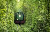 Урзализниця назначила 10 пар дополнительных поездов на Пасхальные праздники