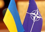 Александр Турчинов встретился с Генеральным секретарем НАТО, Андерсом Фог Расмуссеном