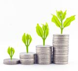 Минфин предлагает до 5% доходов от розничных продаж оставлять в местных бюджетах