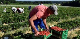Заробітчани перерахували з Польщі 100 мільярдів у 2017 році
