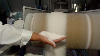 Найбільший український виробник цукру позичив €37 мільйонів
