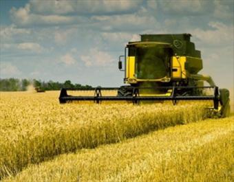 Експорт аграрної продукції з України перевищив $9 мільярдів