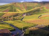 Земельный банк Кернела Веревского превысил 600 тысяч га