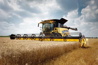 Росія в 2016 році втратила близько 10 млн тонн зерна через брак комбайнів