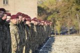 На що йде бюджет Міноборони &mdash; дослідження