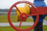 Украина сократила импорт газа почти вдвое