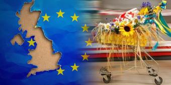 Україна вичерпала шість експортних квот з постачань до ЄС
