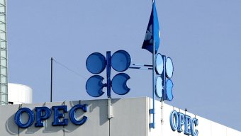 Ціни на нафту знижуються перед зустріччю комітету ОПЕК