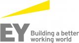 Ernst&amp;Young проведет аудит &laquo;Киевзеленстроя&raquo;