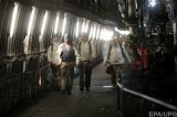Минэнерго зарегистрировало государственного угольного гиганта