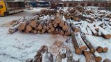 Експорт лісу-кругляка не припинився, він йде контрабандою, - Климпуш-Цинцадзе