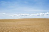 Кабмін прискорює зняття мораторію на землю