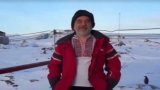 Видео дня: поздравление с Днем вышиванки из Антарктиды на фоне пингвинов