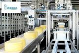 Milkiland має намір включити до складу ради директорів екс-міністра економіки