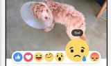 З 9 жовтня в Facebook з'являються &laquo;емоційні&raquo; лайки