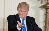 Трамп хочет полноформатную встречу с Путиным - СМИ