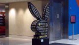Видавці Playboy хочуть відмовитися від друкованої версії журналу