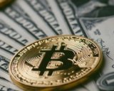 Нестабільна валюта: Bitcoin стрімко дешевшає
